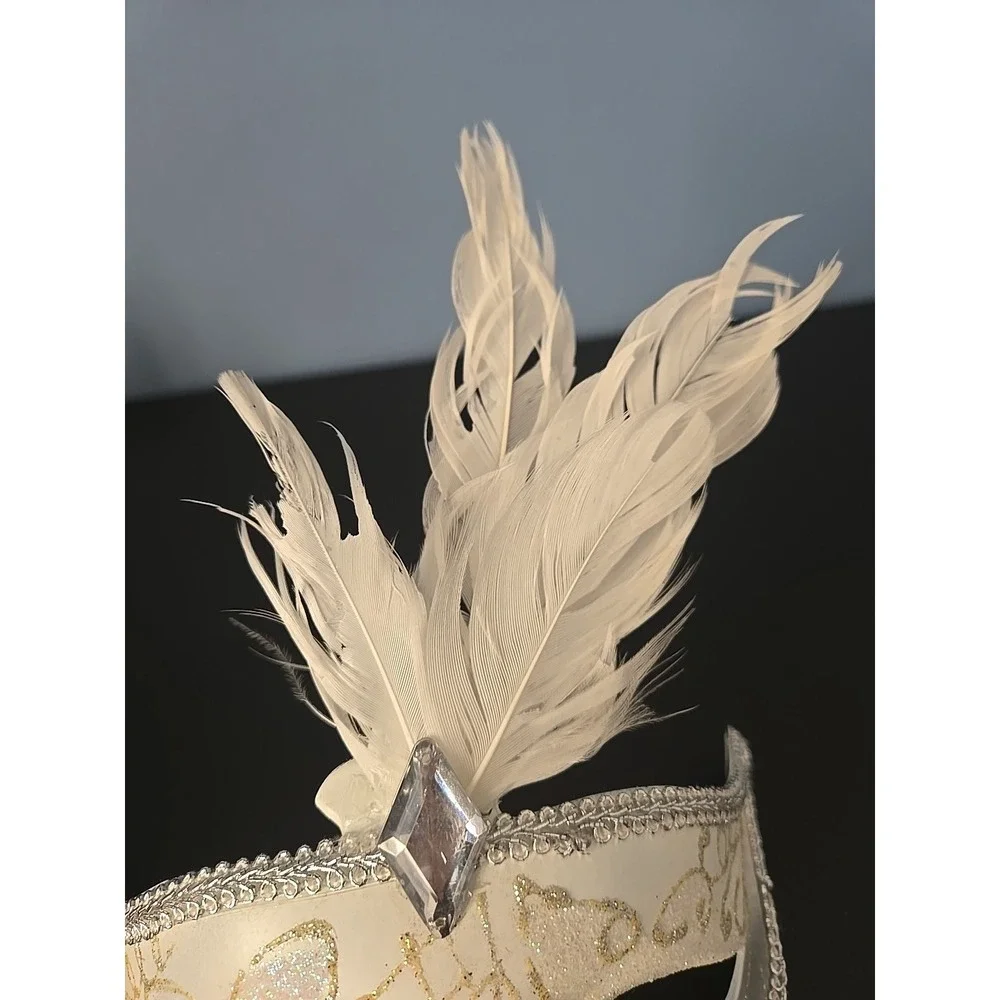 Mardi Gras Carnival Masquerade‎ Party Eye Mask Silver Glitter Sparkles Feathers